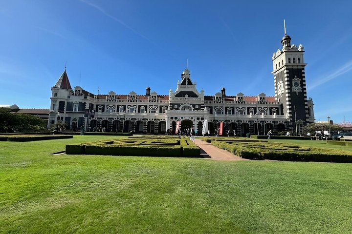 Dunedin City and Coastal Views 3-Hour Small-Group Guided Tour - Photo 1 of 8